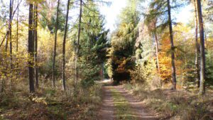 Kodak digital still camera