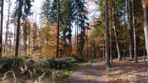 Kodak digital still camera