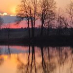 Rybník večer