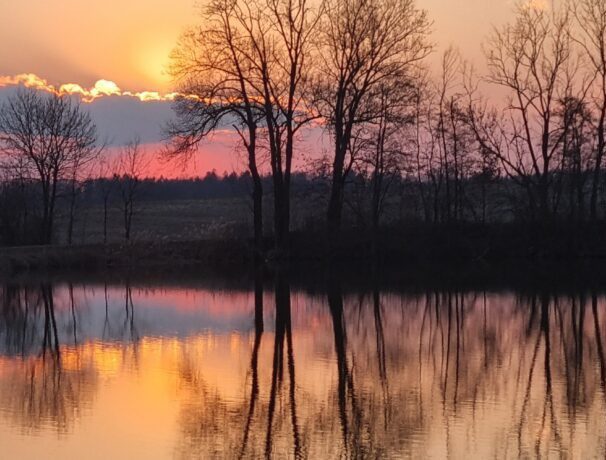 Rybník večer