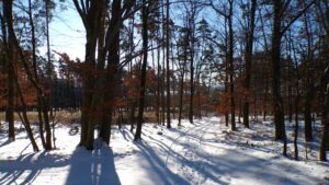 KODAK Digital Still Camera