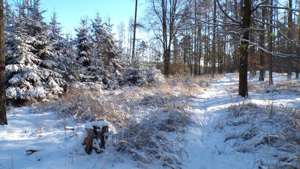 KODAK Digital Still Camera