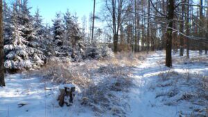 KODAK Digital Still Camera