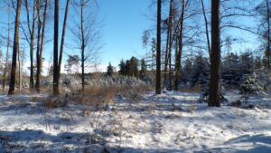 KODAK Digital Still Camera