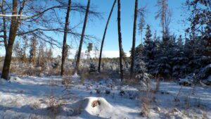 KODAK Digital Still Camera