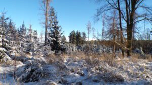 KODAK Digital Still Camera