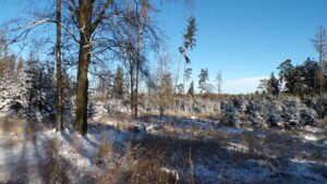 KODAK Digital Still Camera