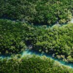 Aerial view of a winding river through lush green forest.