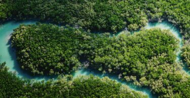 Aerial view of a winding river through lush green forest.