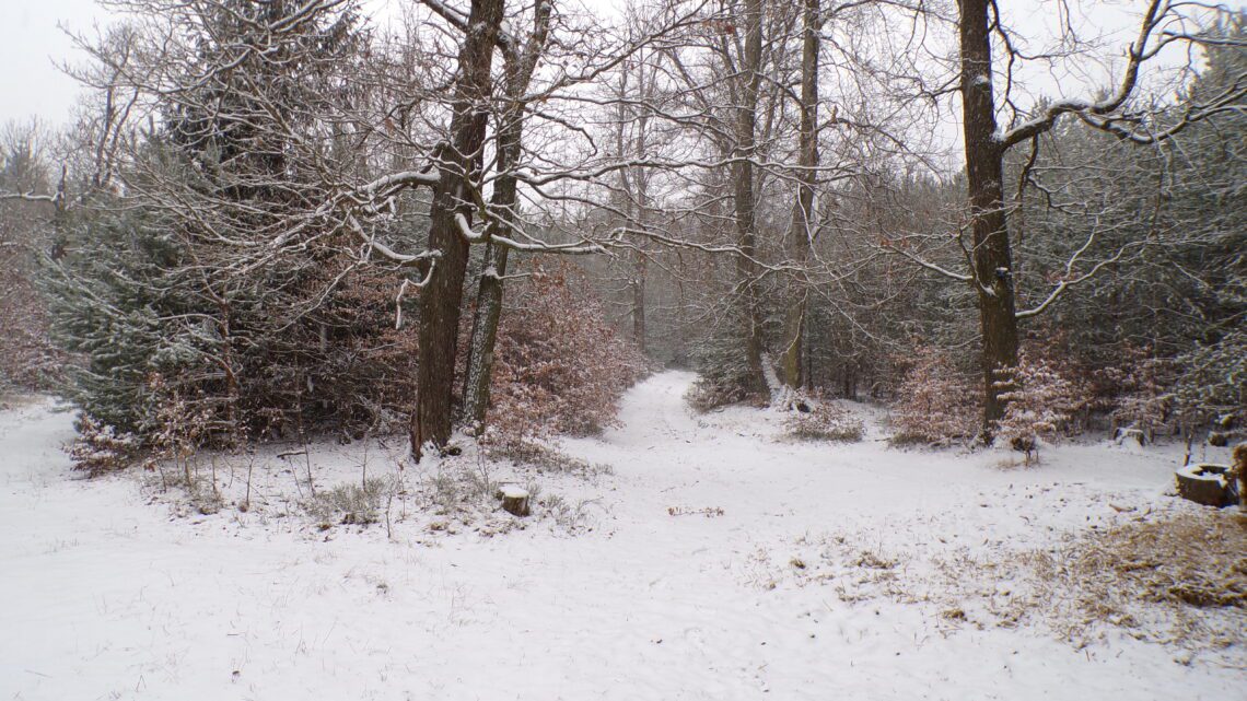 KODAK Digital Still Camera