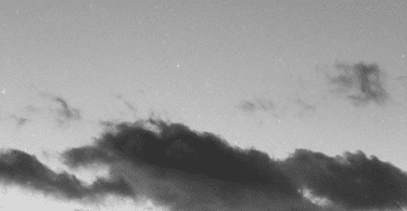 Screenshot 20260216 082517 (1)