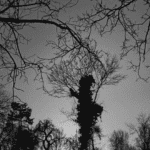 Screenshot 20260328 061049 (1)