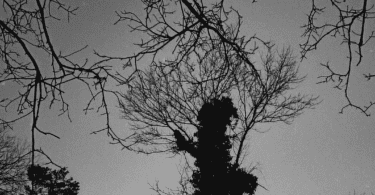 Screenshot 20260328 061049 (1)