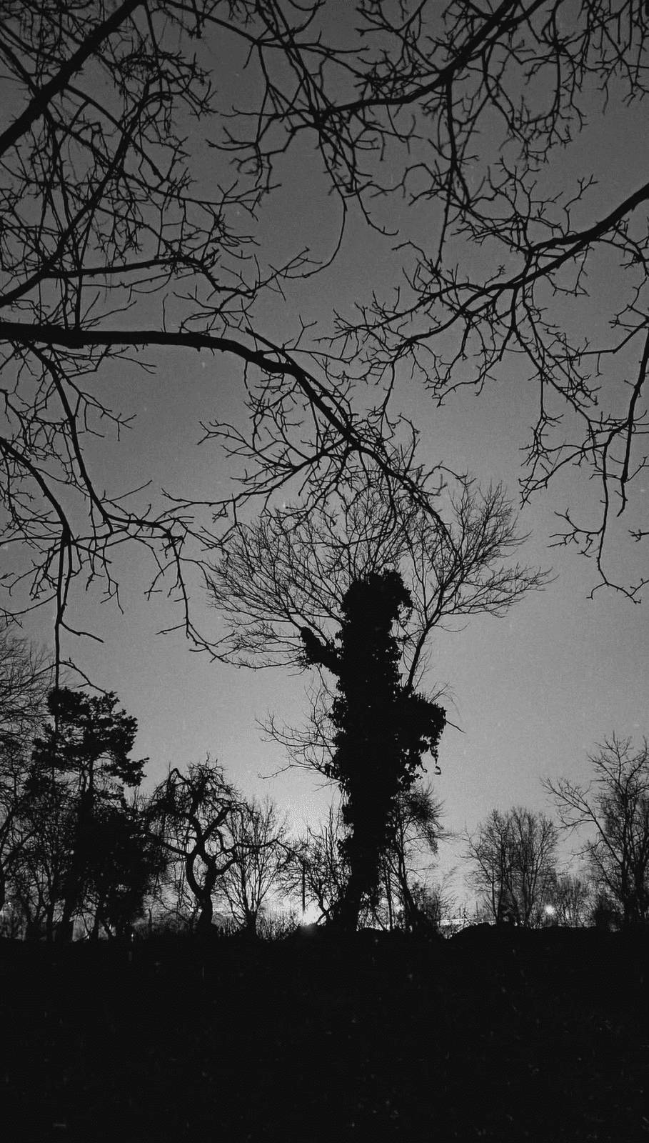 Screenshot 20260328 061049 (1)