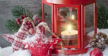 new year, winter, christmas, new year, christmas, christmas, christmas, christmas, christmas