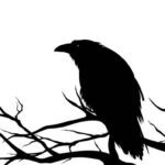 Istockphoto 1136340492 612x612