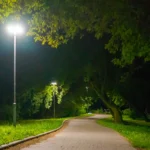 DSC02113 L 16