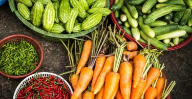 bundle of assorted vegetable lot